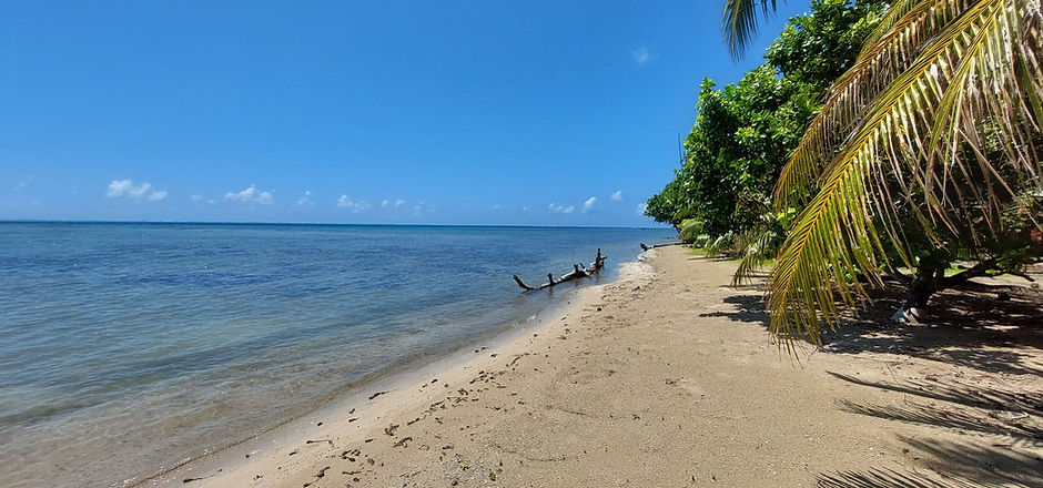 Plage privée.jpg