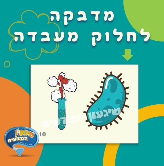 תמונה ממוזערת: מדבקות לחלוק מעבדה