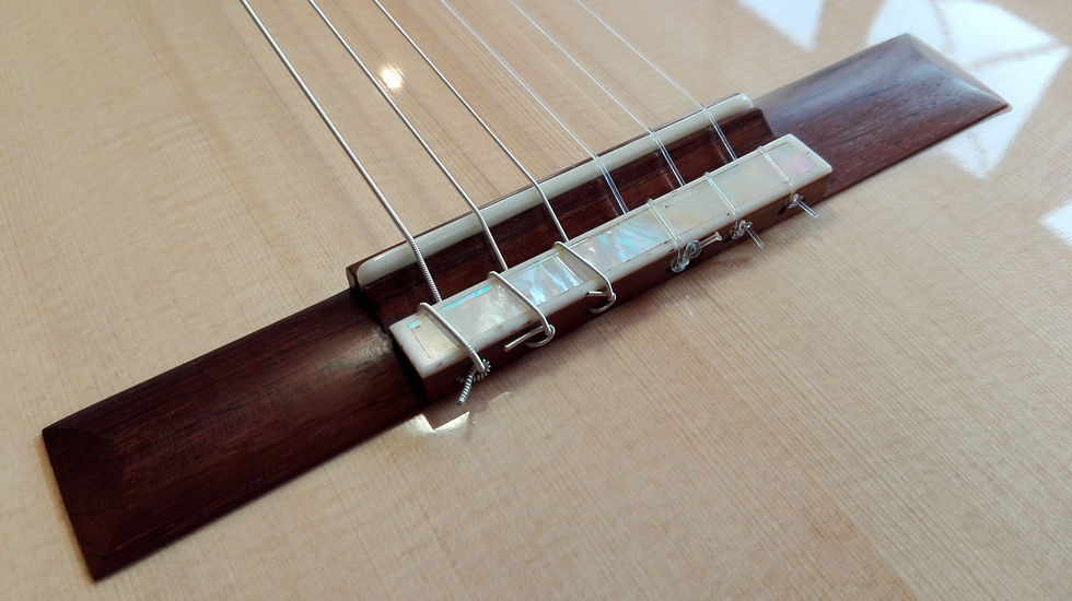 www.provost-guitare