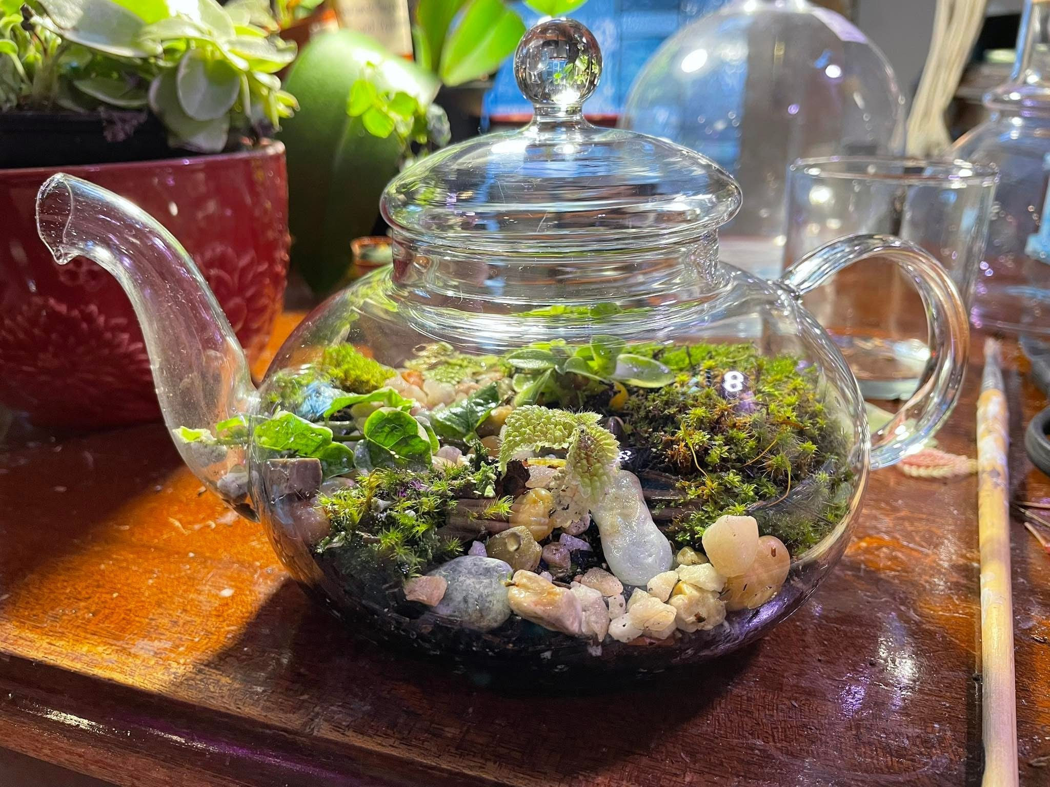 Teapot Terrarium