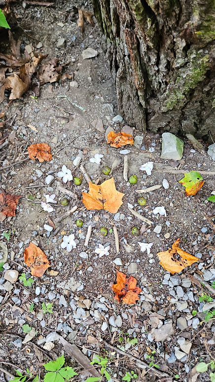 Earth mandala.jpg