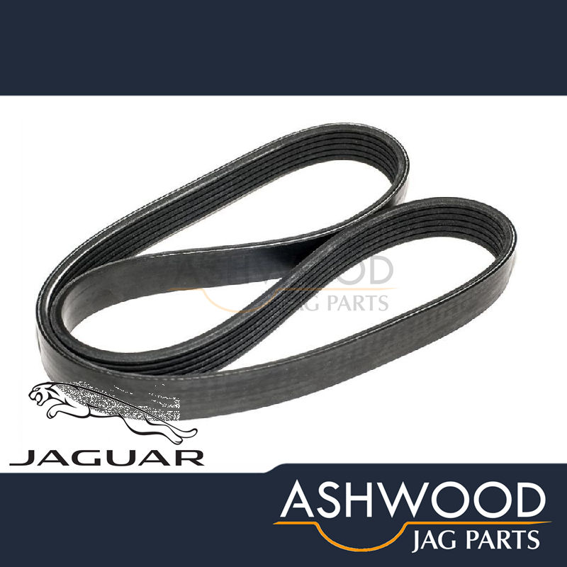 Supercharger Drive Belt Jaguar XKR 5.0 (2009-14) GENUINE JAGUAR - C2D39175