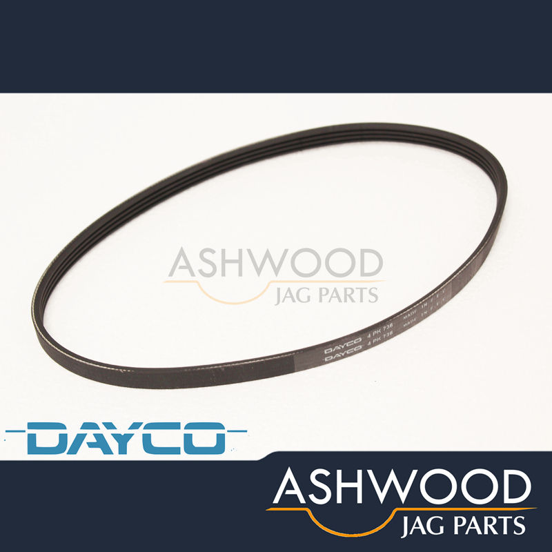 PAS Pump Drive Belt Jaguar X-Type 2.0 2.2 Diesel (2003-10) DAYCO OEM - JD61137