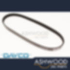 Alternator Drive Belt Jaguar XJ40 XJ12 6.0 V12 (1992-93) DAYCO OEM - NAC2211BA