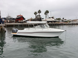 PESCATORE DUAL 28