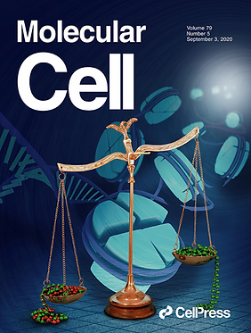 Sebastian et al. Mol Cell, 2020 - Cover