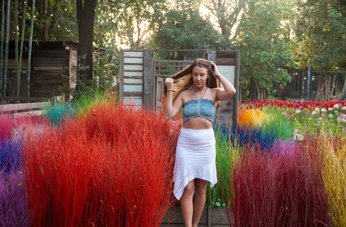 bamboo incense field