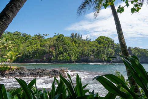 Botanical gardens in big island