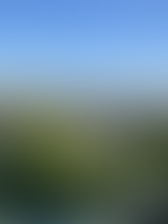 Signal Hill: a City Rich in Oil and Art