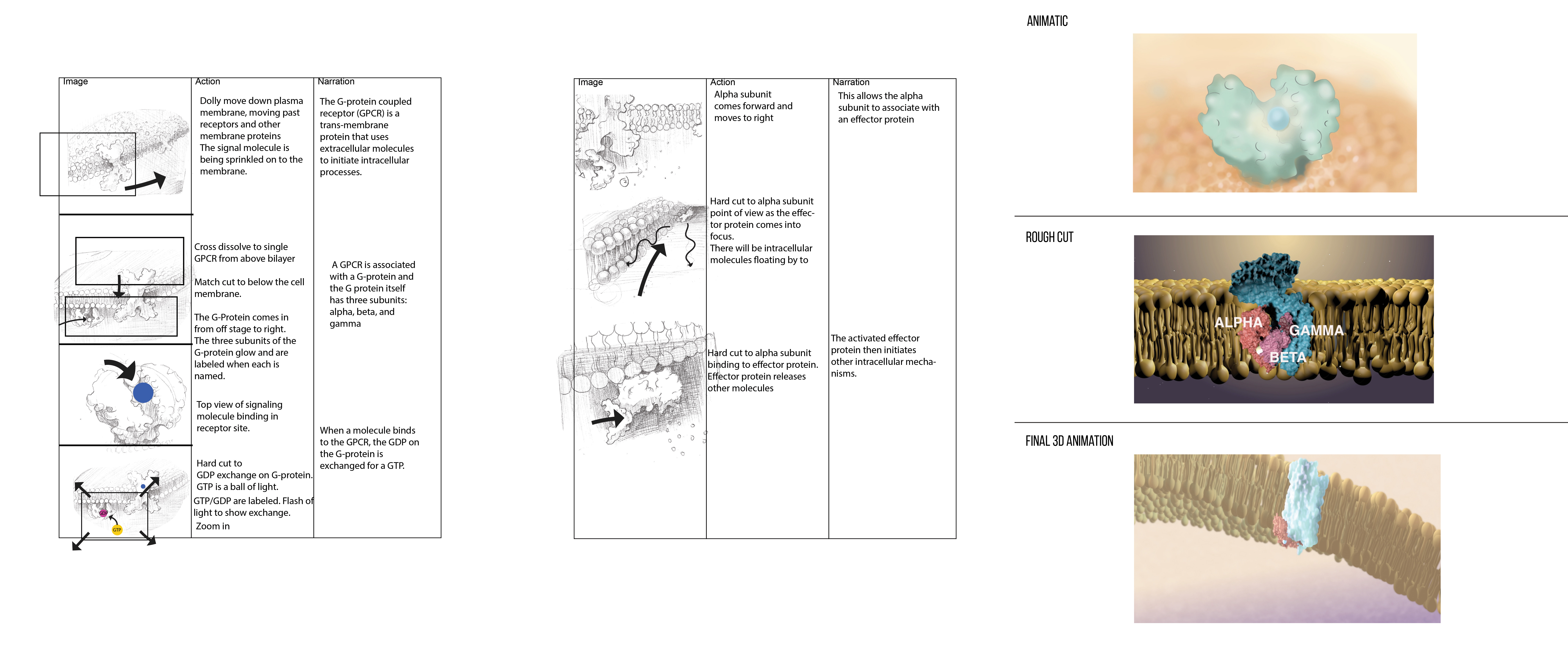Process for 3D animation