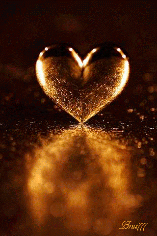 2015 - 1.gif