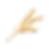 iStock-1455328392_edited.png