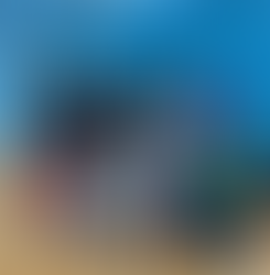 Development Sessions: from Students to Rising Volleyball Stars