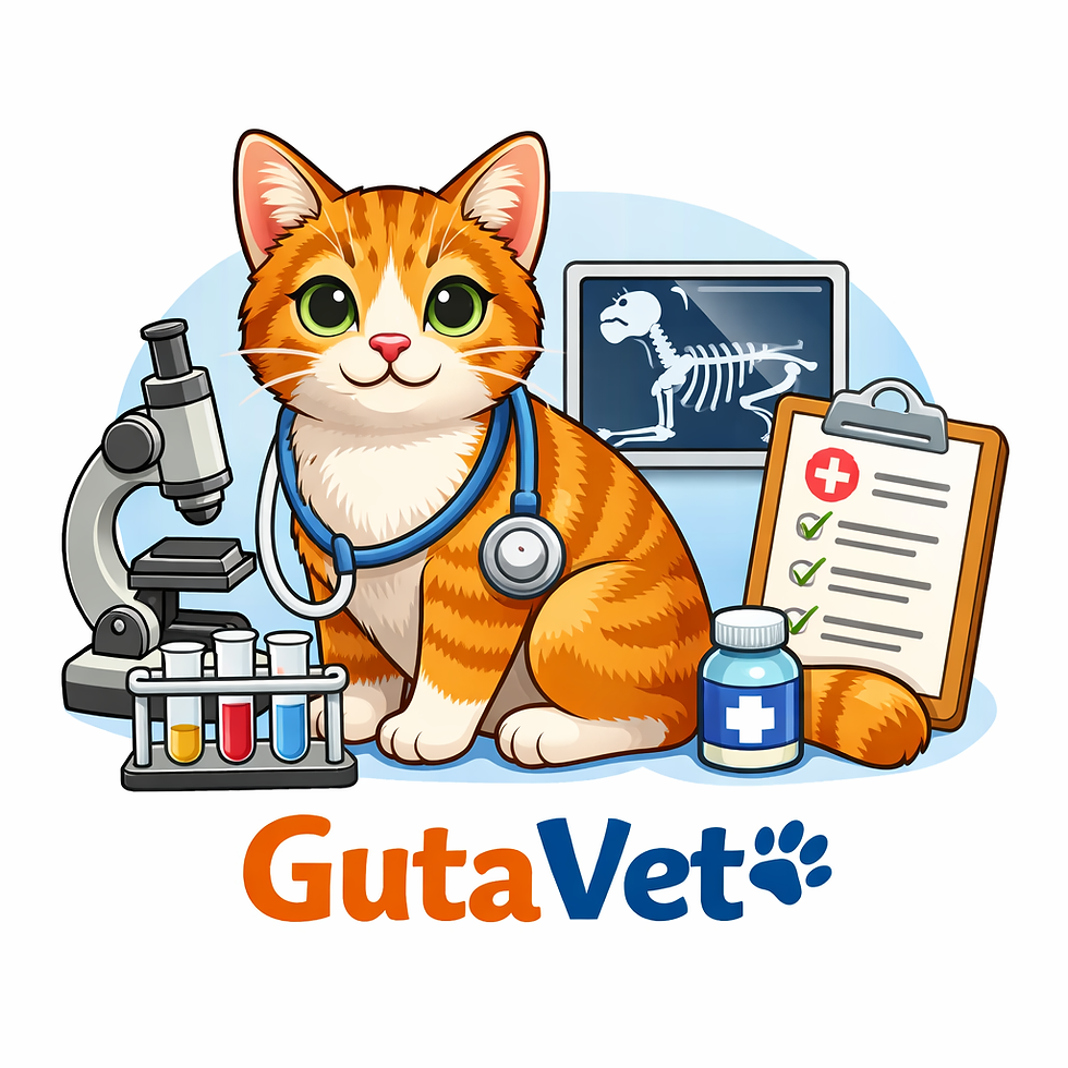 kalici virus mačaka