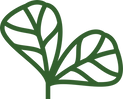 leaf logo