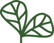 leaf logo