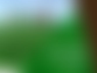 Lavoura de soja em terras baixas supera a marca dos 100 Scs ha¹