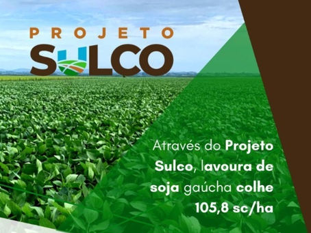 Lavoura de soja em terras baixas supera a marca dos 100 Scs ha¹