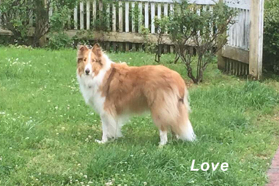 Sir Love, in GA