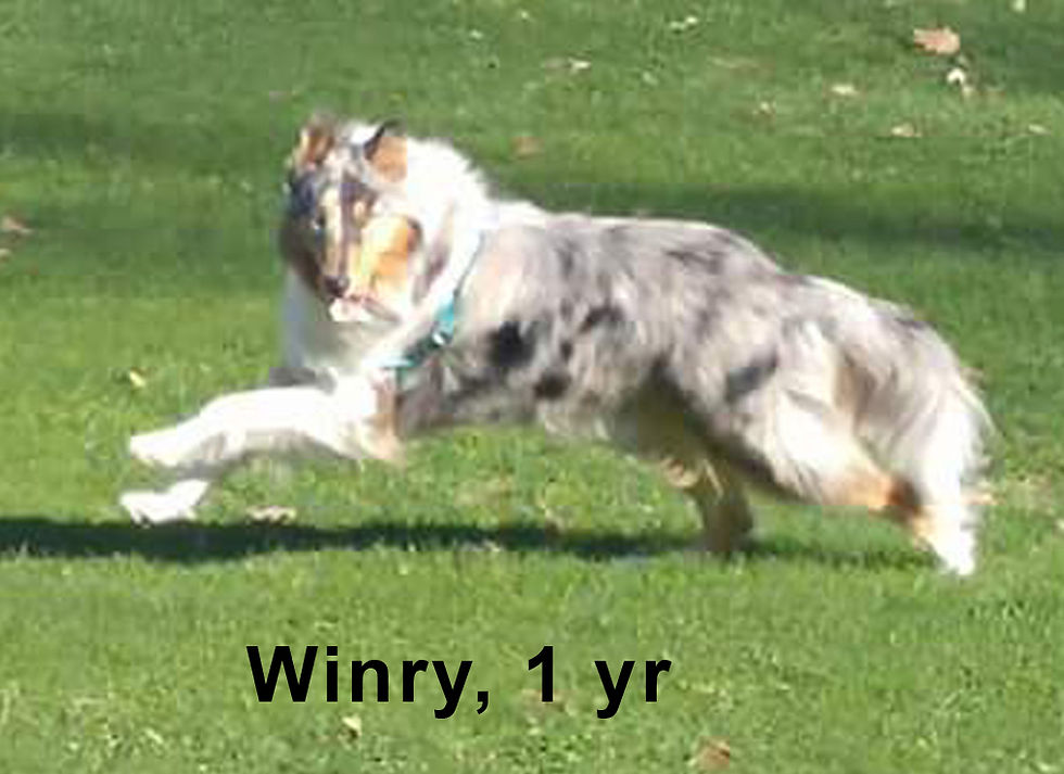 Winry, in IN