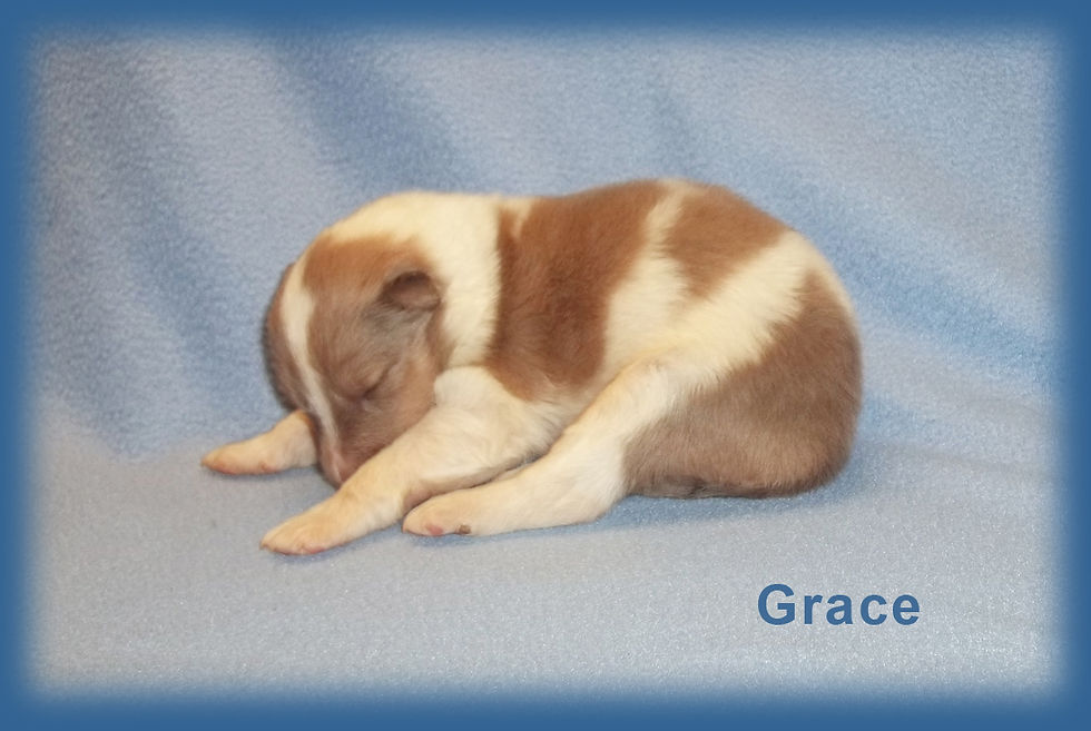 Grace