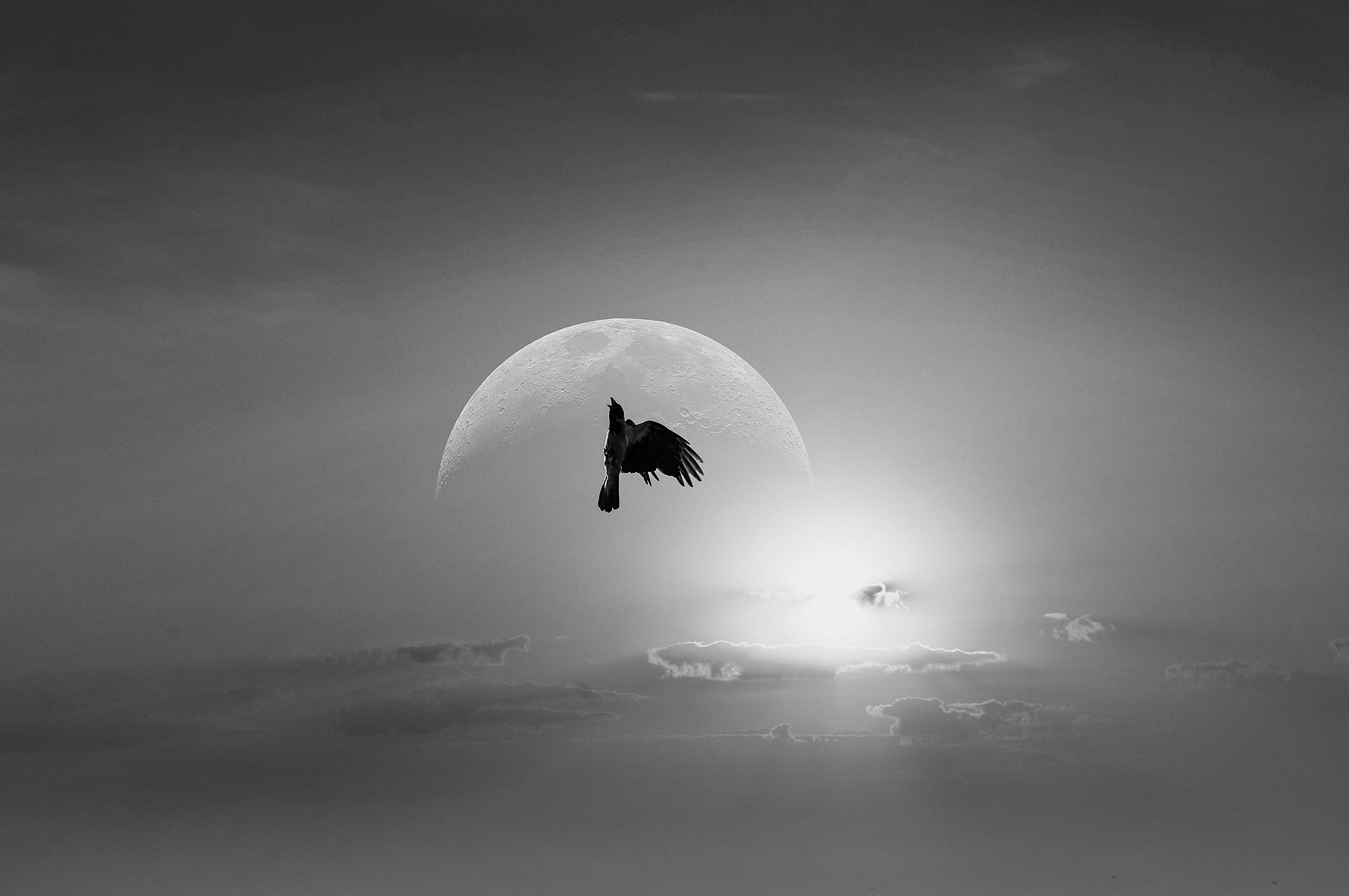 Through Hardships to the Stars/We Will Survive