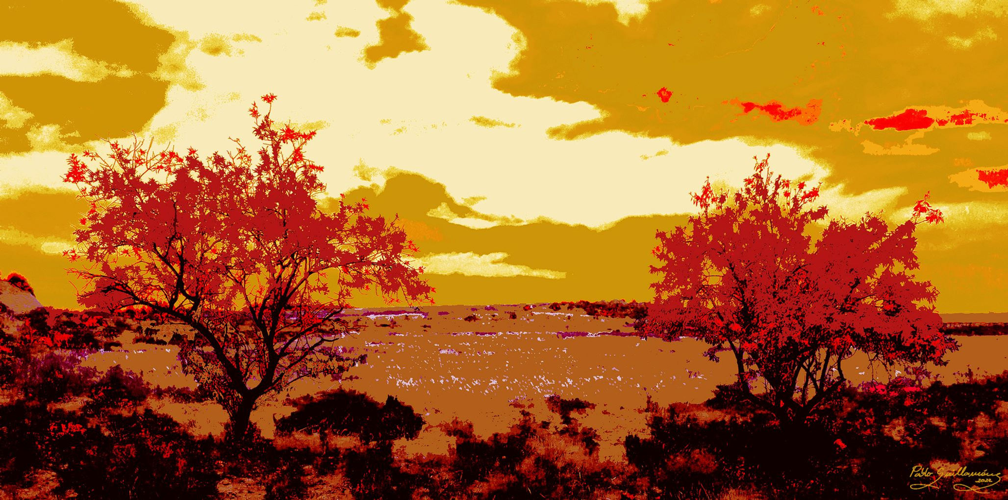 Loyal Almond Trees-2