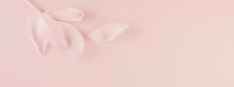 Copy of Deschiderea Inimii_platformă (1054 × 392 px) (3).png