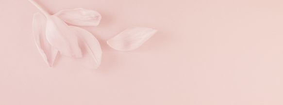 Copy of Deschiderea Inimii_platformă (1054 × 392 px) (3).png