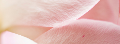 Copy of Deschiderea Inimii_platformă (1054 × 392 px) (1).png