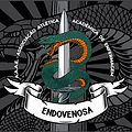 ENDOVENOSA.jpg