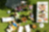 shutterstock_678796294.jpg