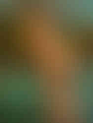 escort pasion