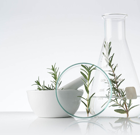 Rosemary Cosmetics_edited.jpg