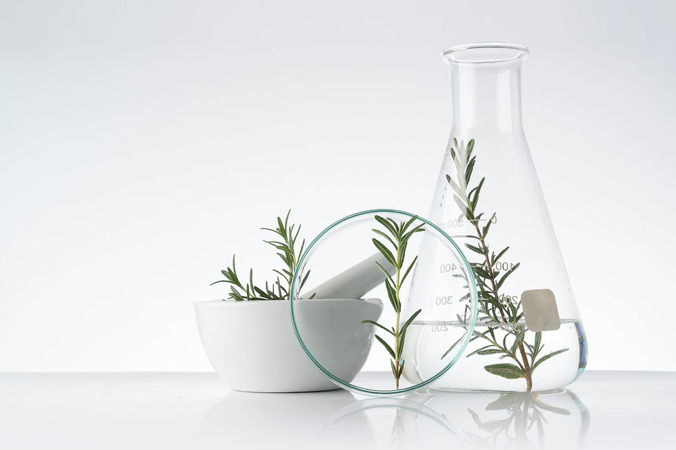 Rosemary Cosmetics_edited.jpg