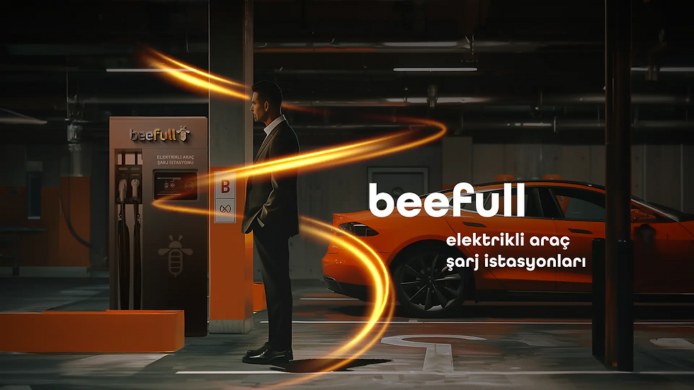 beefull cengiz enerji