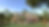 RN-A-0031_Mansion D_hres 1.png