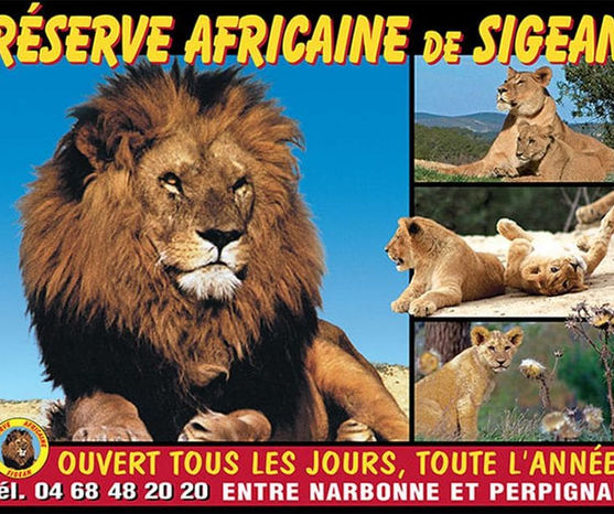 reserve-africaine-de-sigean.jpg