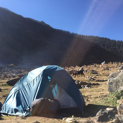 Kheerganga -  24 KM of Nature, Silence, and Self-Discovery