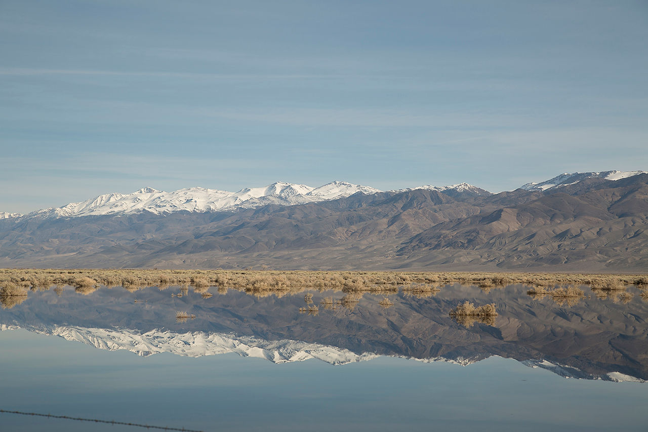 Reflection Orginal