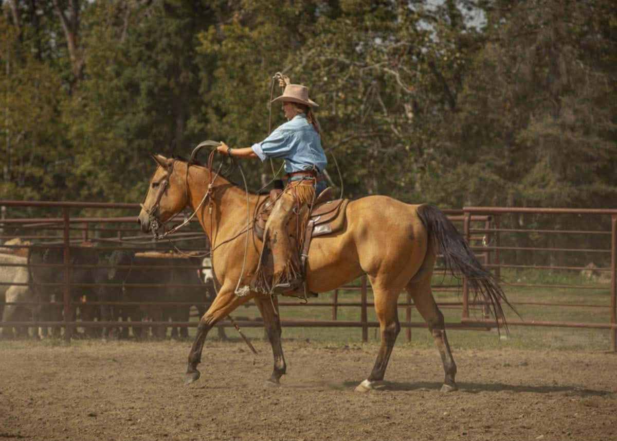 Horsemanship Clinic with Amanda Rae Ventures