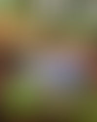 'Tis the Season for Masks