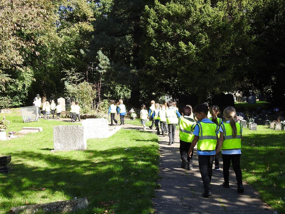 Walk in the local area