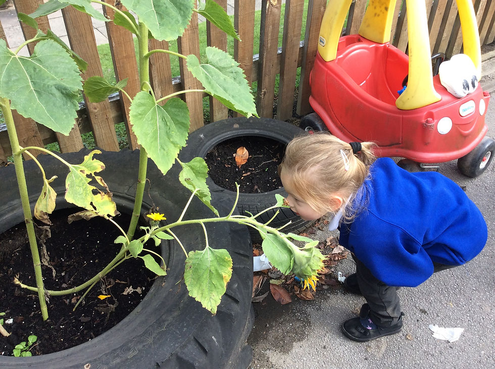 Nursery & Reception September 2024