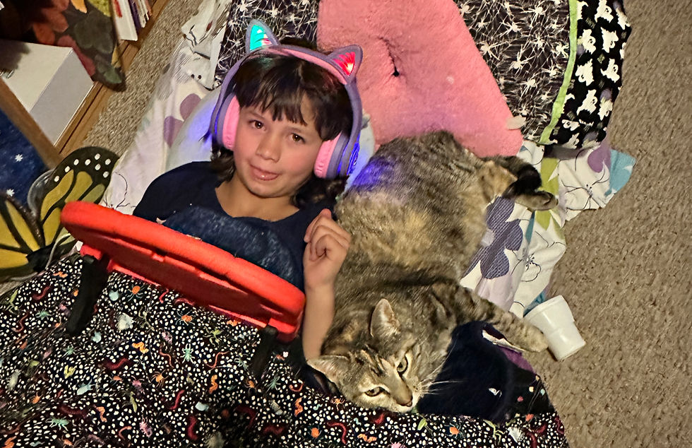 a girl laying in bed with cat and listening to audio book on headphones 