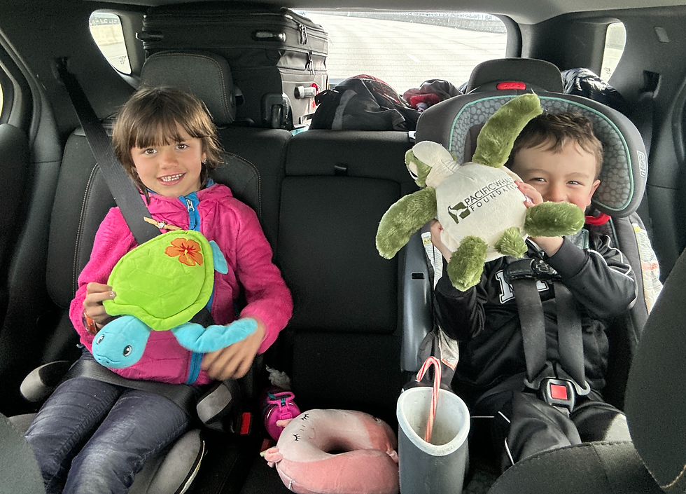 Two children in a car, smiling and holding plush turtles. One turtle has "Pacific Whale Foundation" text. Suitcases are in the background.
