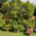 The Charming Restorer Garden Studio 2.JPG