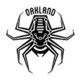 logo-team-SJ.png