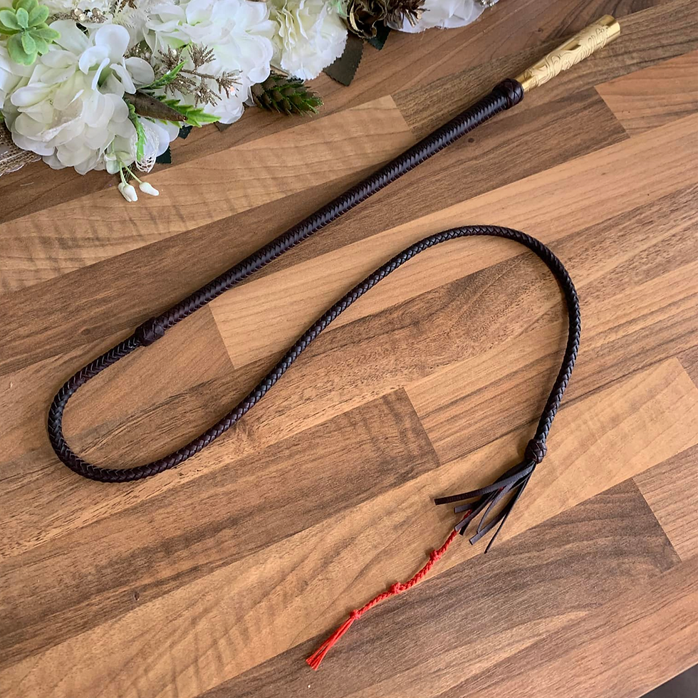 Thumbnail: Welsh in hand whip, braided shaft and lash.