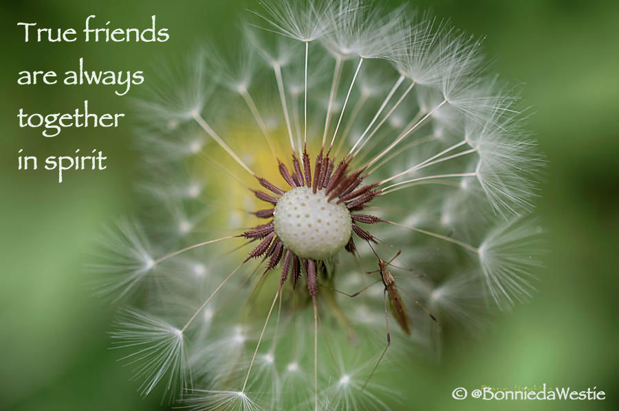 Always together in spirit